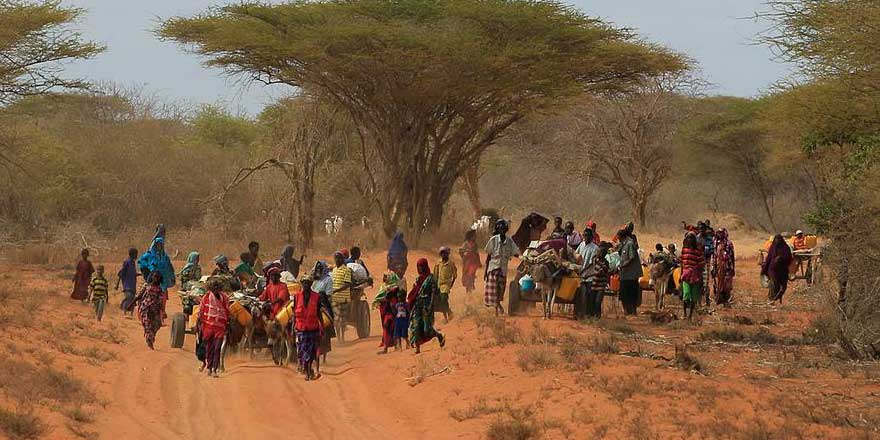 'Somali'de milyonlarca kişi kıtlığın eşiğinde'