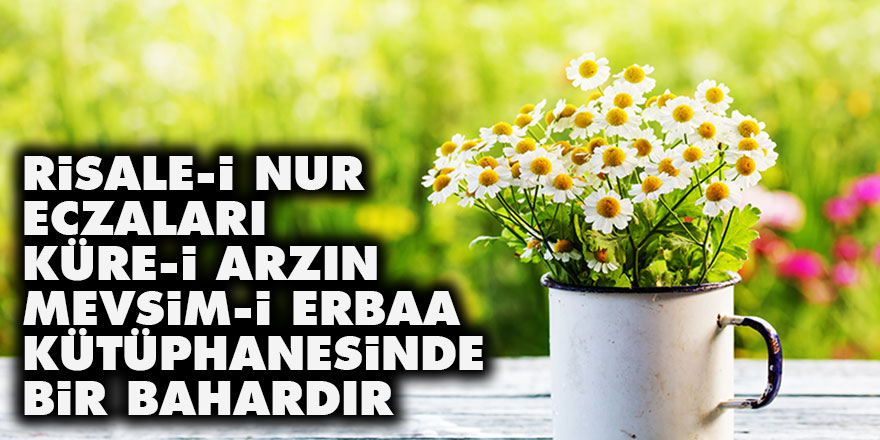 Risale-i Nur eczaları, küre-i arzın mevsim-i erbaa kütüphanesinde bir bahardır