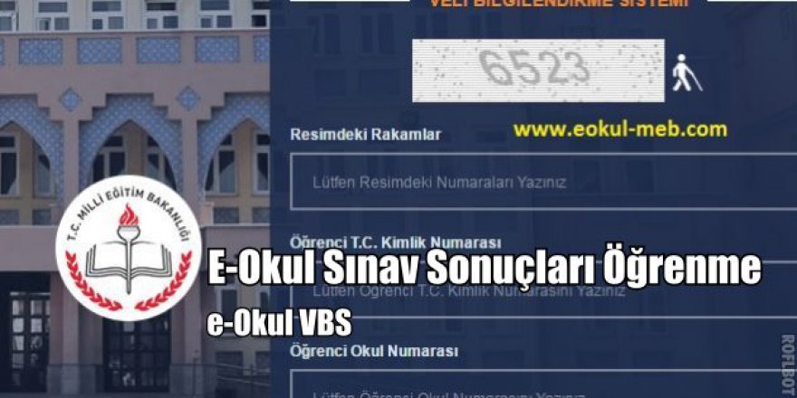 E okul girişi, LGS sonuçları, E Okul Veli Bilgilendirme Sistemine giriş