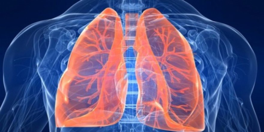 Ciğerler doğal yollarla nasıl temizlenir?