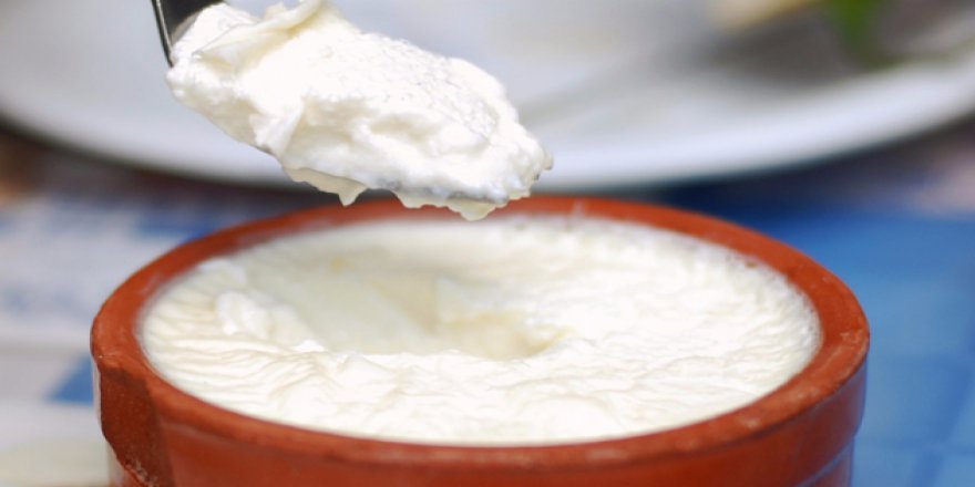 Manda yoğurdu, kanser riskini azaltıyor