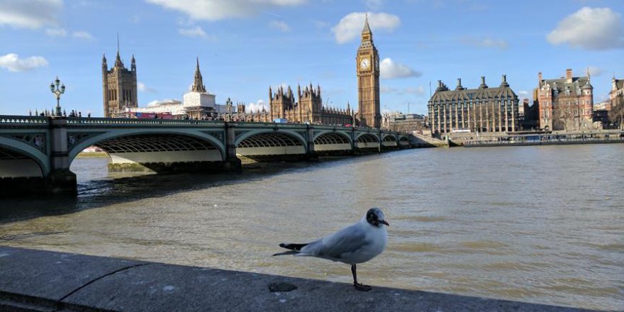 İngiltere'de ilginç ceza