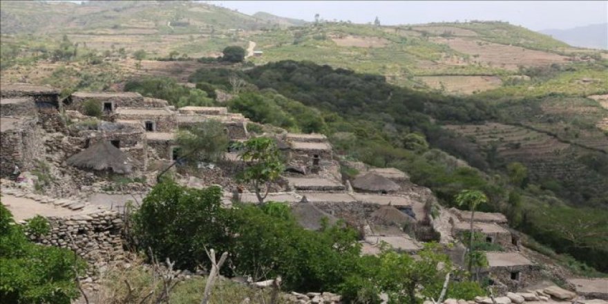 Etiyopya Müslümanlarını bin yıldır koruyan kasaba