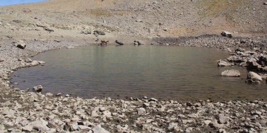 Eriyen kar suları gölet oluşturdu