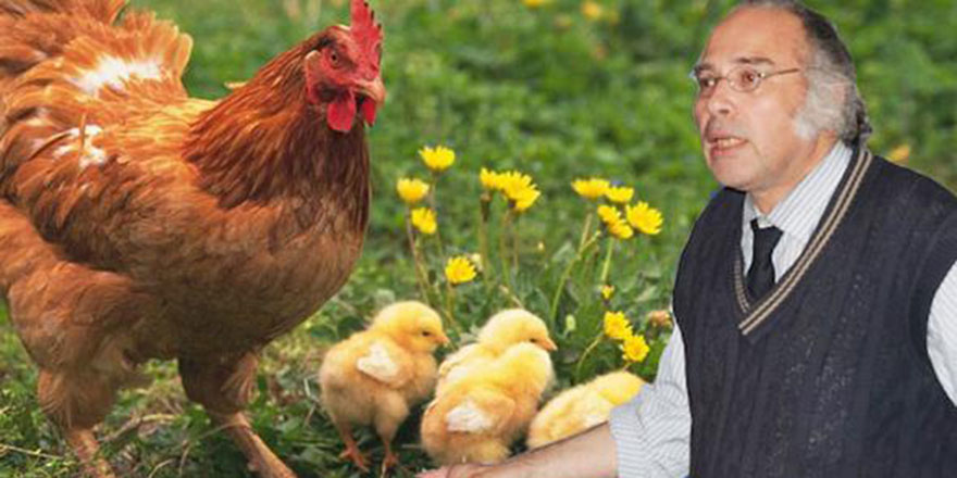 Tavuk yemeyin, çocuklarınıza da yedirmeyin!