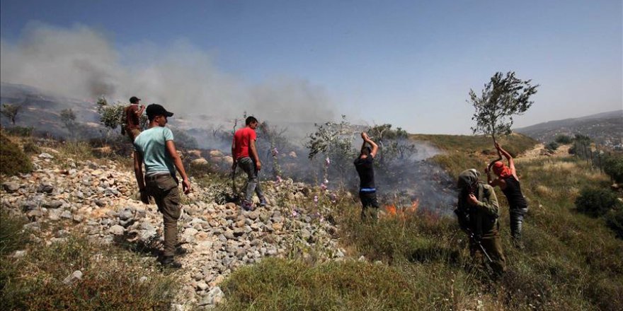 Yahudi yerleşimciler Filistinlilerin arazisini ateşe verdi