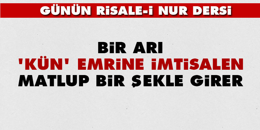 Bir arı, 'Kün' emrine imtisalen matlup bir şekle girer