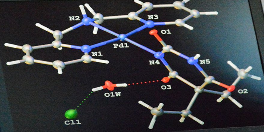 Kolon kanseri tedavisi için umut veren gelişme