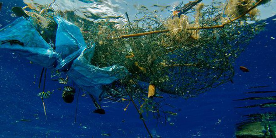 Yemeklere plastik serpiyoruz