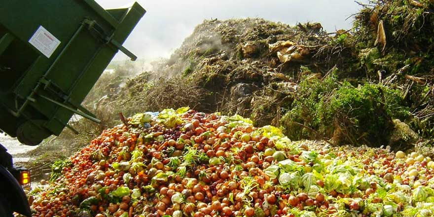 Gıdaların üçte biri, yani 1,3 milyar ton israf ediliyor