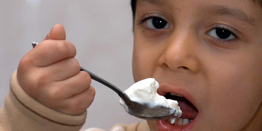 Probiyotikler bazı hastalıkların gelişimine engel oluyor