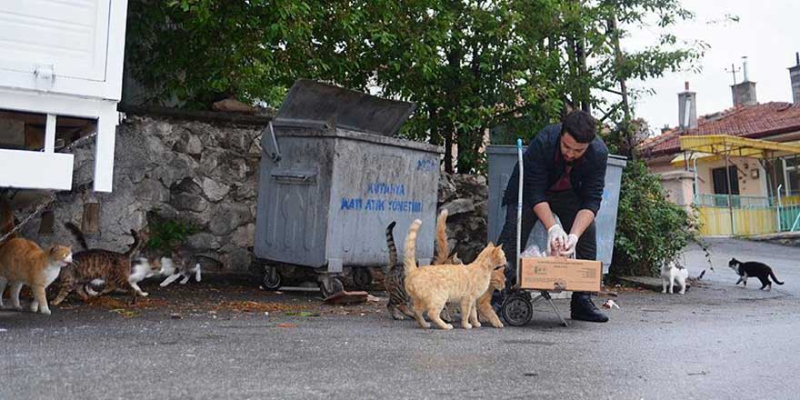 Üniversiteli Ebu Hureyre: Sokakları arşınlayıp kedileri besliyor