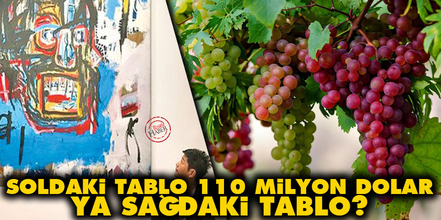 Soldaki tablo 110 milyon dolar ya sağdaki tablo?