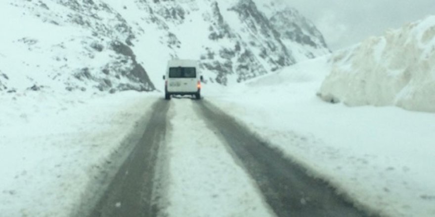 Van'a mayıs ayında kar yağdırıldı