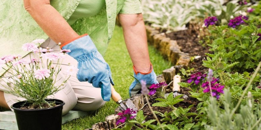 Süs bitkisi yetiştiricilerine müjde