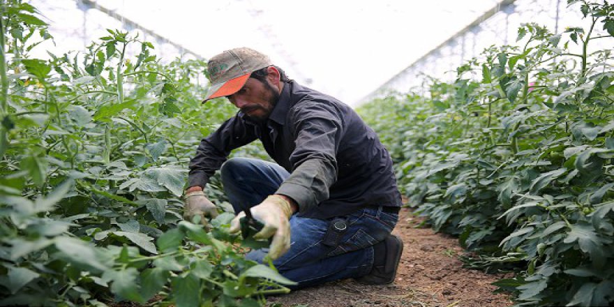 Tarım işçilerinin ramazanda ekmek kavgası
