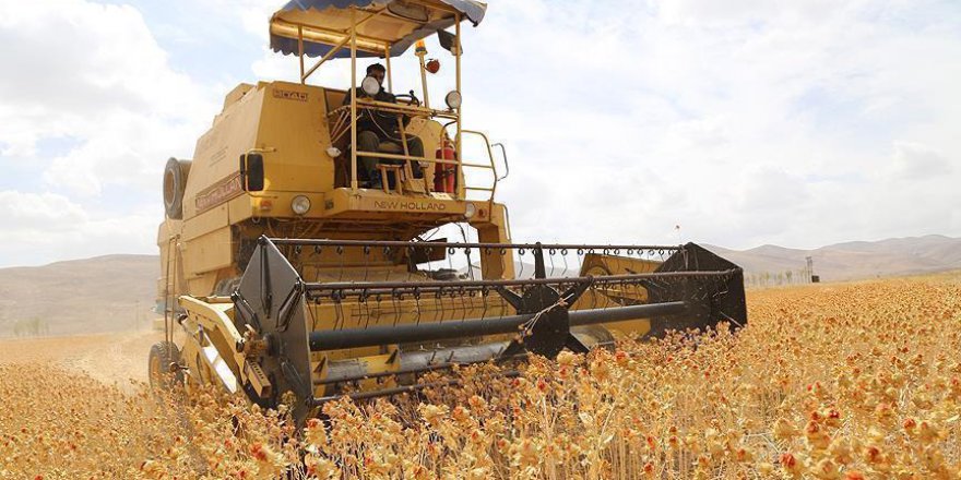 Çelik: 16 bin genç çiftçiye 483 milyon lira destek