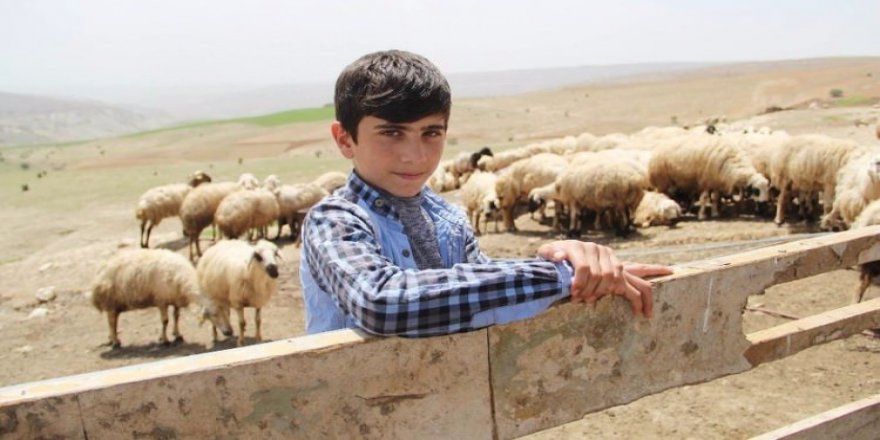 TEOG sınavında Türkiye ikincisi oldu