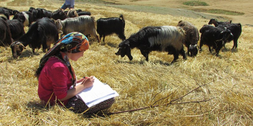 Gaziantepli çoban TEOG birincisi oldu