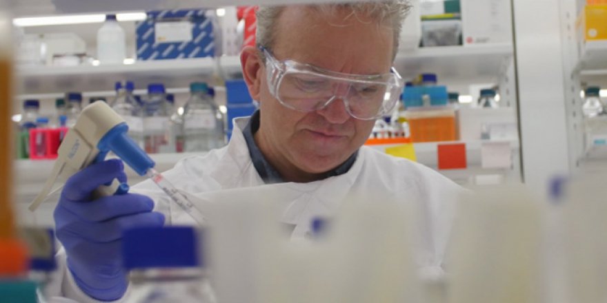 İleri düzeyde alerjiye umut ışığı