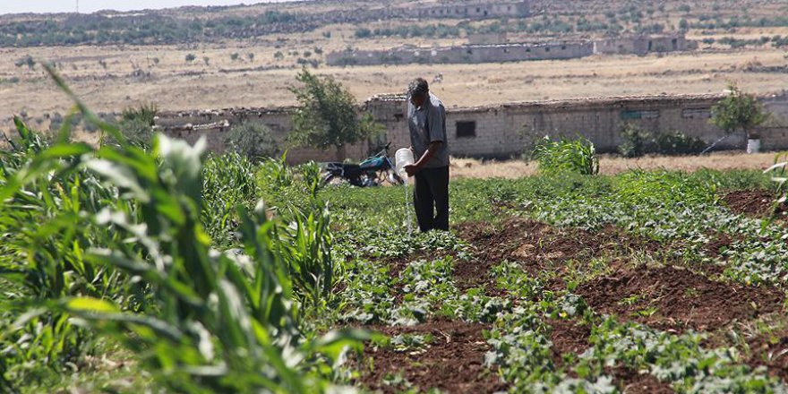 Esed Rejimi insafsızlıklarına 'susuz bırakmayı' da ekledi