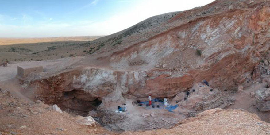 Evrimcilerin kitabını değiştiren keşif