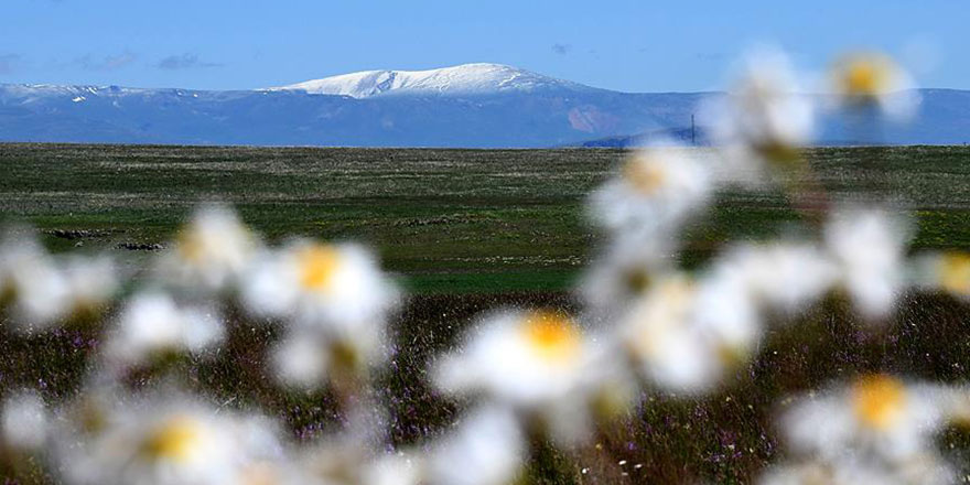AllahuEkber Dağları'na haziran ortasında kar yağdırıldı
