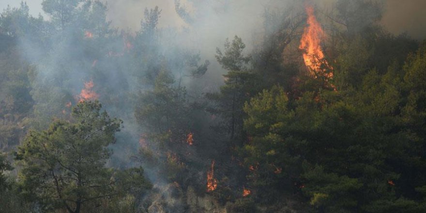 Meteoroloji'den 'orman yangını' uyarısı