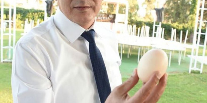Yumurtanın içinden yumurta çıktı