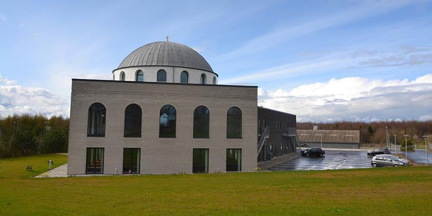 Danimarka camilere yardımlara ilişkin 'sert tedbirler' alacak
