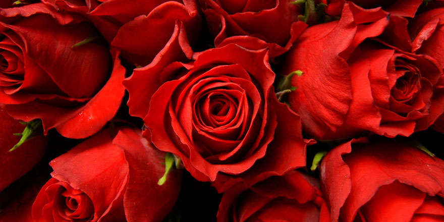 Güzel görmekte Hz. Hatice'den daha delikanlımızı bulamazsın