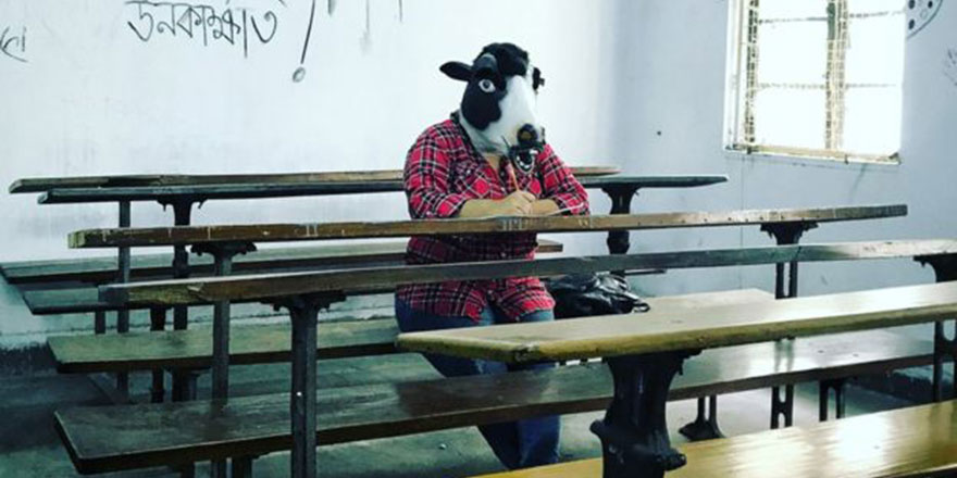 Hindistan'da 'inekler mi kadınlar mı değerli' tartışması