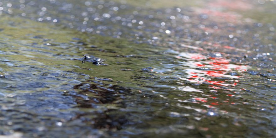 Bağlar Belediyesi kendi asfaltını üretiyor
