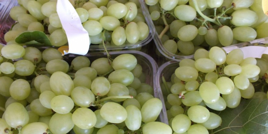 Üzüm pekmezinin standartları belirlendi