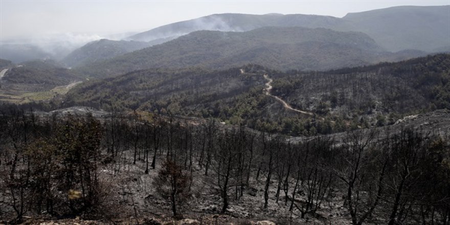 "Orman yangınları en çok 11-19 saatleri arasında çıkıyor"
