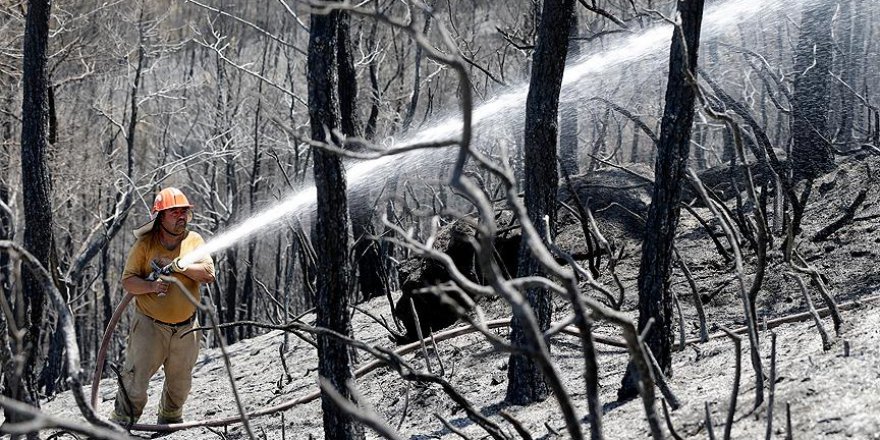 İzmir'deki orman yangınında soğutma çalışmaları sürüyor