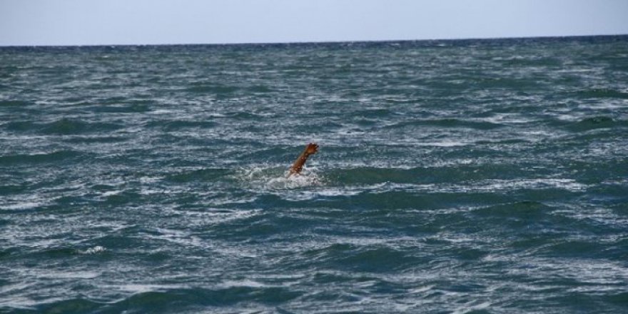 Denizde uzun süre yüzmek kalp krizine neden olabilir