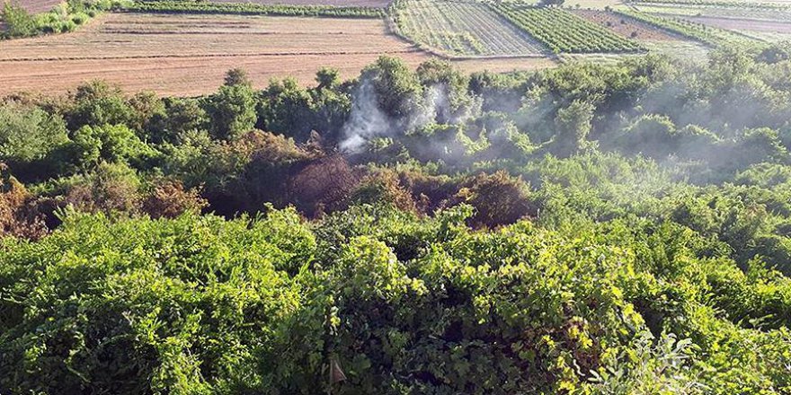 Antalya'da 40 dönüm orman yandı