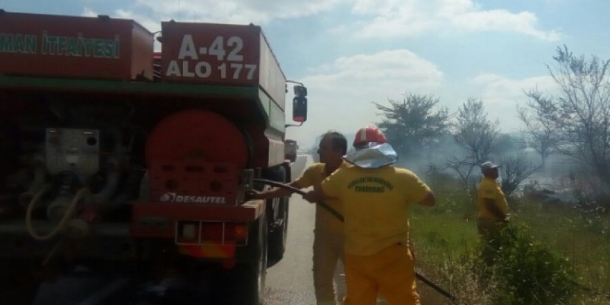 Tekirdağ'da 3 ay ormanlara girmek yasak