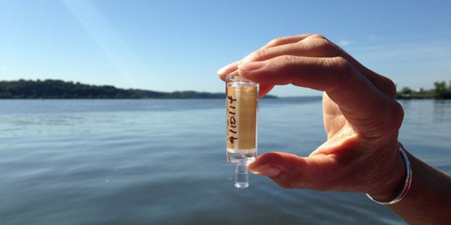 Dünyada 2,1 milyar kişi temiz su bulamıyor