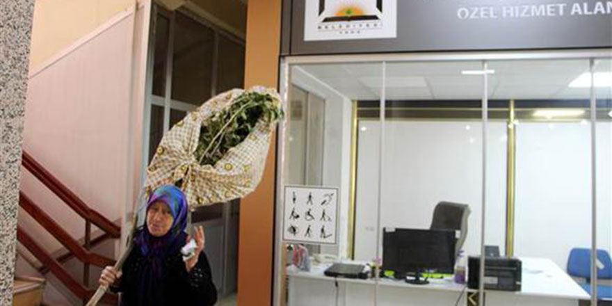 Kesilen ağacını omuzladı, belediyeye hesap sordu