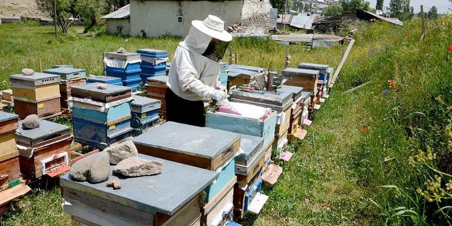 Sıcak hava arıcıları da vurdu