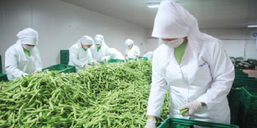 Meyve ve sebze yerli tohumla ucuzlayacak