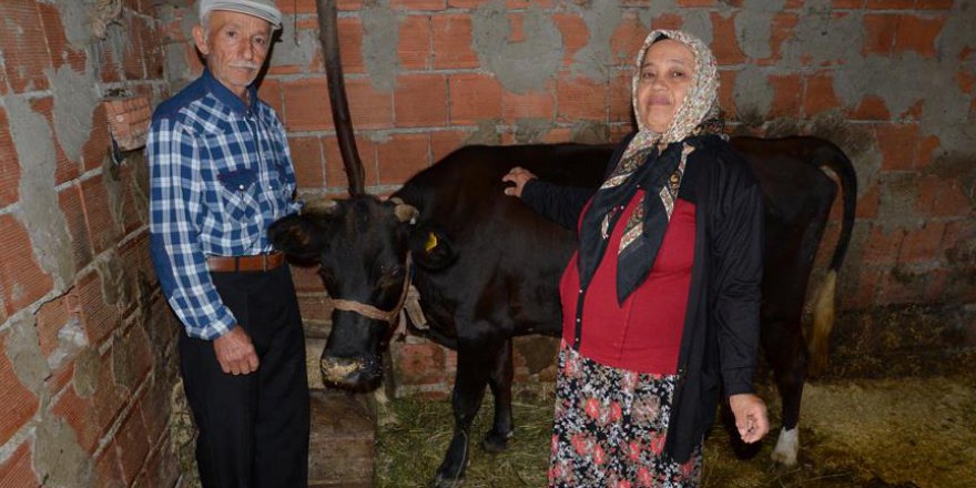 Yaşlı çiftin yüzü sosyal medya aracılığıyla güldü