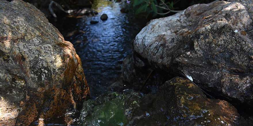 Allah 'ol der oluverir', kuru dereden su akmaya başladı