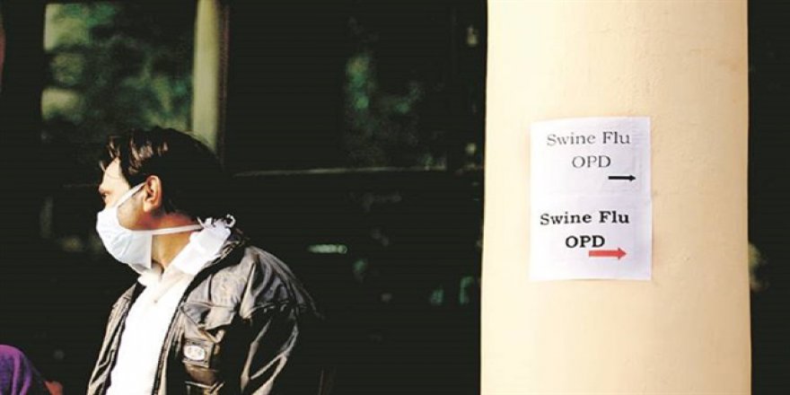 Myanmar'da domuz gribi salgını