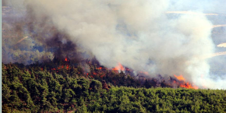 İzmir'deki orman yangını sürüyor