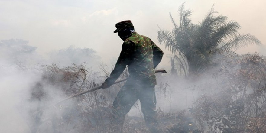 Endonezya'da orman yangınları nedeniyle acil durum ilan edildi