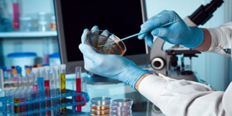 ABD'de insan geni embriyosu değiştirildi