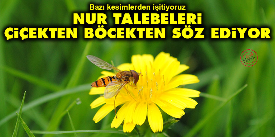 Bazı kesimlerden işitiyoruz: Nur Talebeleri, çiçekten böcekten söz ediyor